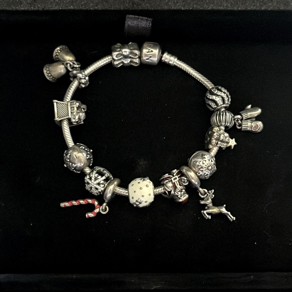 Pandora bracelet with charms